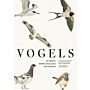 Vogels - De grote ANWB vogelgids van Europa