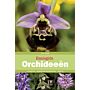 Basisgids Orchideeën