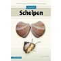 Veldgids Schelpen - Zeeschelpen en weekdieren uit ons Noordzeegebied