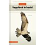 Veldgids vogeltrek in beeld - Vogels herkennen aan hun vliegbeeld