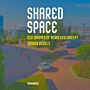 Shared Space - Een innovatief verkeersconcept zonder regels