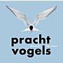 Prachtvogels (Pre-order )