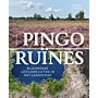 Pingoruïnes - Bijzondere ijstijdrelicten in het landschap (Pre-order)