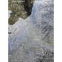 Andrea Caretto & Raffaella Spagna - Bright Ecologies: – Experiences, Forms, Materials