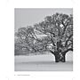 Ancient Oaks in the English Landscape (Second Edition)