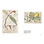 Botanical Sketchbooks (PBK)