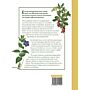 Botanicum Medicinale - Een modern herbarium van geneeskrachtige planten