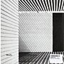 Materiality - Carlos Ferrater
