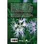 Flora Helvetica - Exkursionsflora