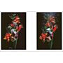 Encyclopedia of Flowers VI