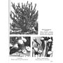 The Huntington Botanical Gardens 1905–1949 – personal recollections of William Hertrich