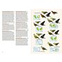 Birds of the Indonesian Archipelago Greater Sundas and Wallacea (PBK)