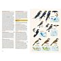 Birds of the Indonesian Archipelago Greater Sundas and Wallacea (PBK)