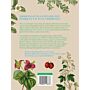 Botanisch handboek medicinale planten - Geneeskrachtige planten & huismiddeltjes van A tot Z (September 2024)