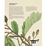 Vergeten toepassingen van planten - De historia naturalis 