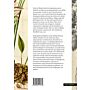 Rumphius'  Kruidboek - Verhalen uit de Ambonese flora