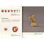 Science of the Secondary 01 - Apple