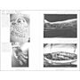 Slanted 40 - Experimental Type 2.0