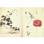Flora Sketches By Tabata Kihachi III