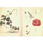 Flora Sketches By Tabata Kihachi III