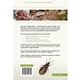 Veldgids Wantsen - Pentatomomorpha