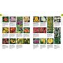 The RHS What Plant Where Encyclopedia  (With More Than 3000 Plants)