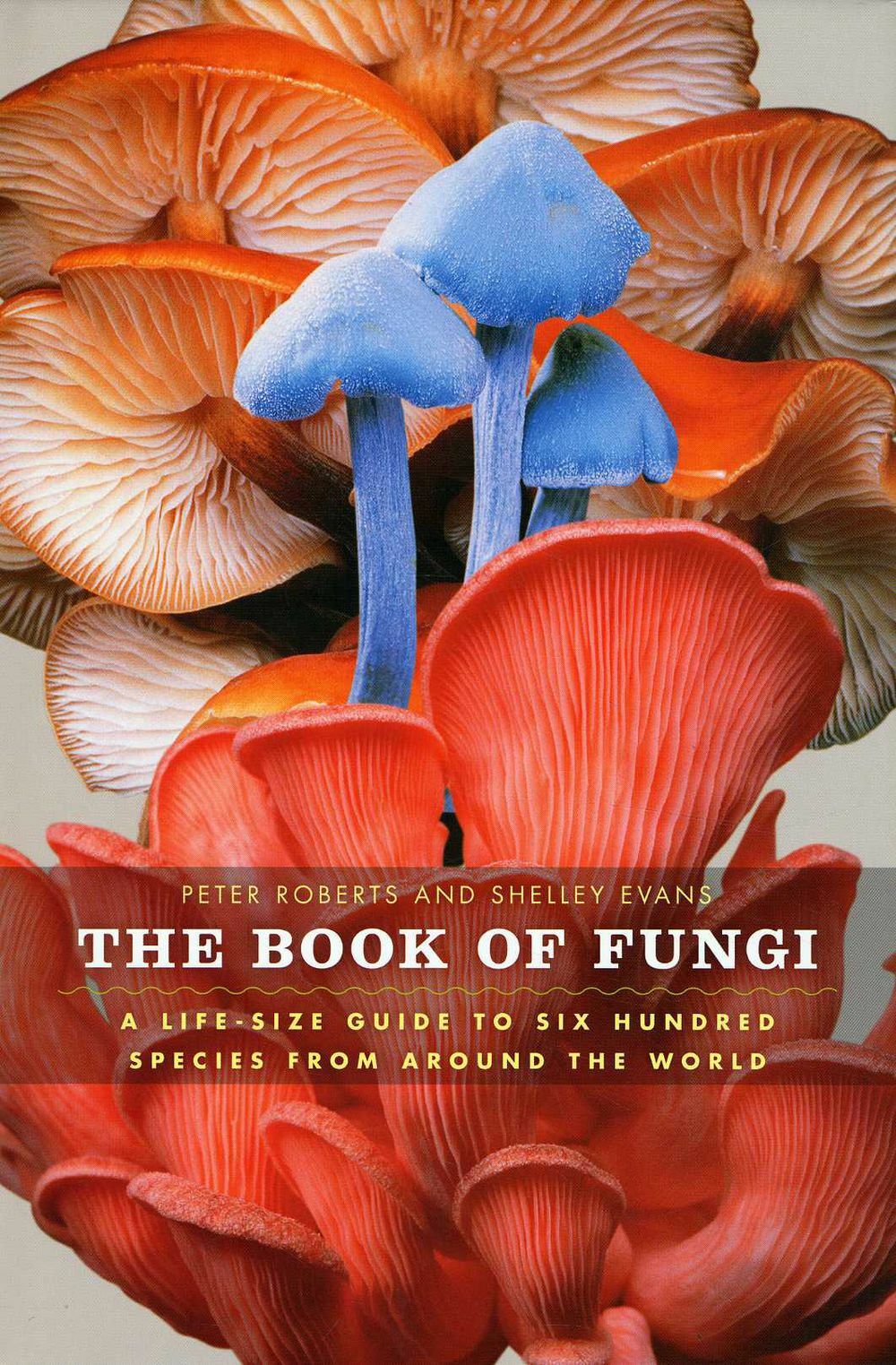 Architectura & Natura - The Book of Fungi