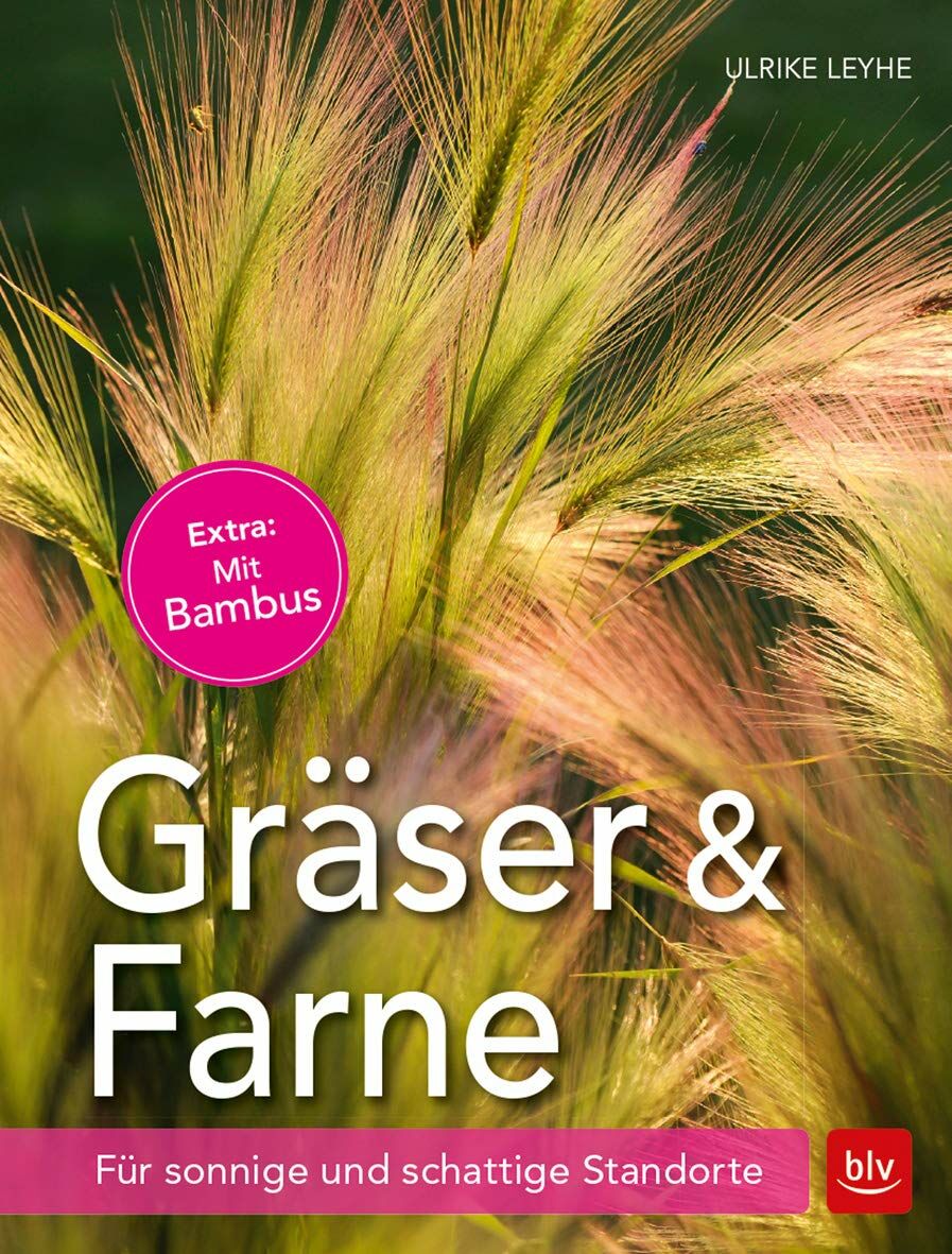 Architectura & Natura Gräser und Farne Für sonnige und schattige