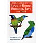 A Field Guide to the Birds of Borneo, Sumatra, Java and Bali