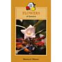 Flowers of Jamaica