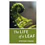 The Life of a Leaf