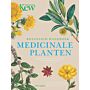 Botanisch handboek medicinale planten - Geneeskrachtige planten & huismiddeltjes van A tot Z (September 2024)