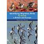 Identifying Migratory Birds by Sound in Britain and Europe