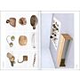 herman de vries - all this here (catalogue Rijksmuseum Twenthe)