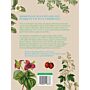 Botanisch handboek medicinale planten - Geneeskrachtige planten & huismiddeltjes van A tot Z (September 2024)